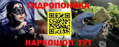 мдпв Пенза