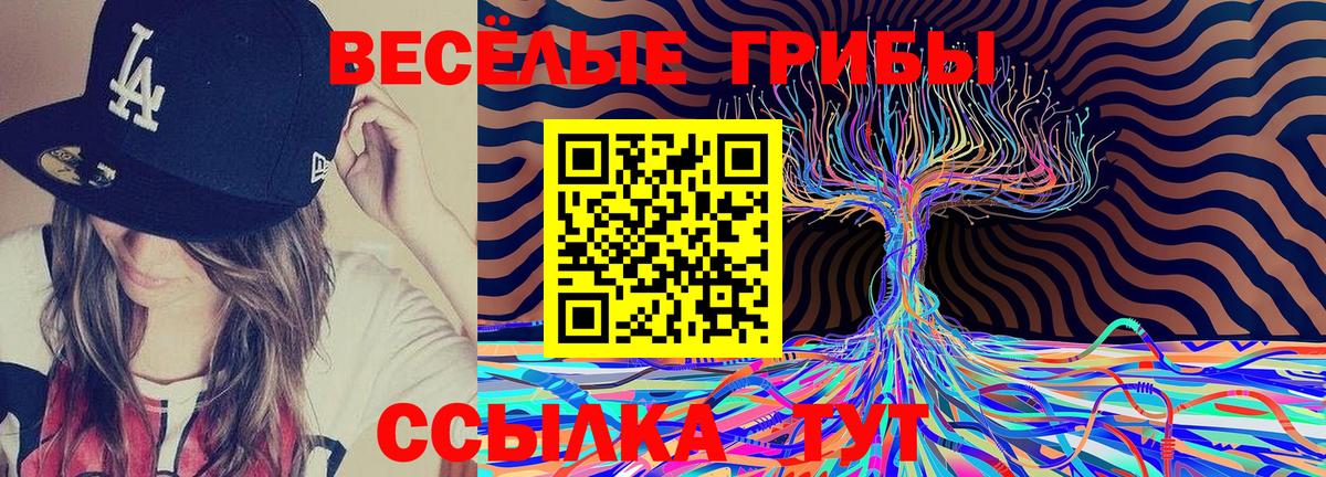 Псилоцибиновые грибы Psilocybe Нижневартовск